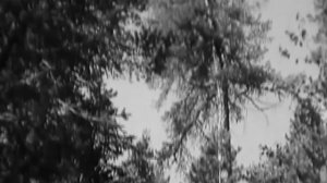 Лев Барашков. Главное, ребята, сердцем не стареть