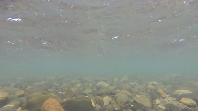 Камчатка смотреть онлайн