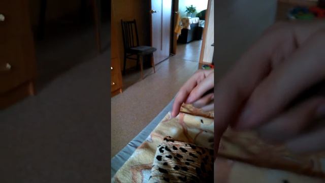 Инфа,где мы живём?,где найти?,в какую игру играеш?(Читать описание) смотреть онлайн