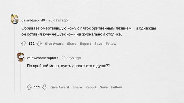 Девушки сливают МЕРЗКИЕ ПРИВЫЧКИ ПАРНЕЙ смотреть онлайн