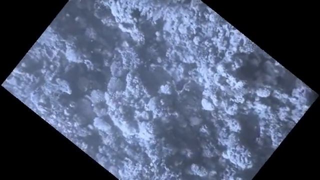 полосатики! девчонкам из Киева!!!.wmv смотреть онлайн