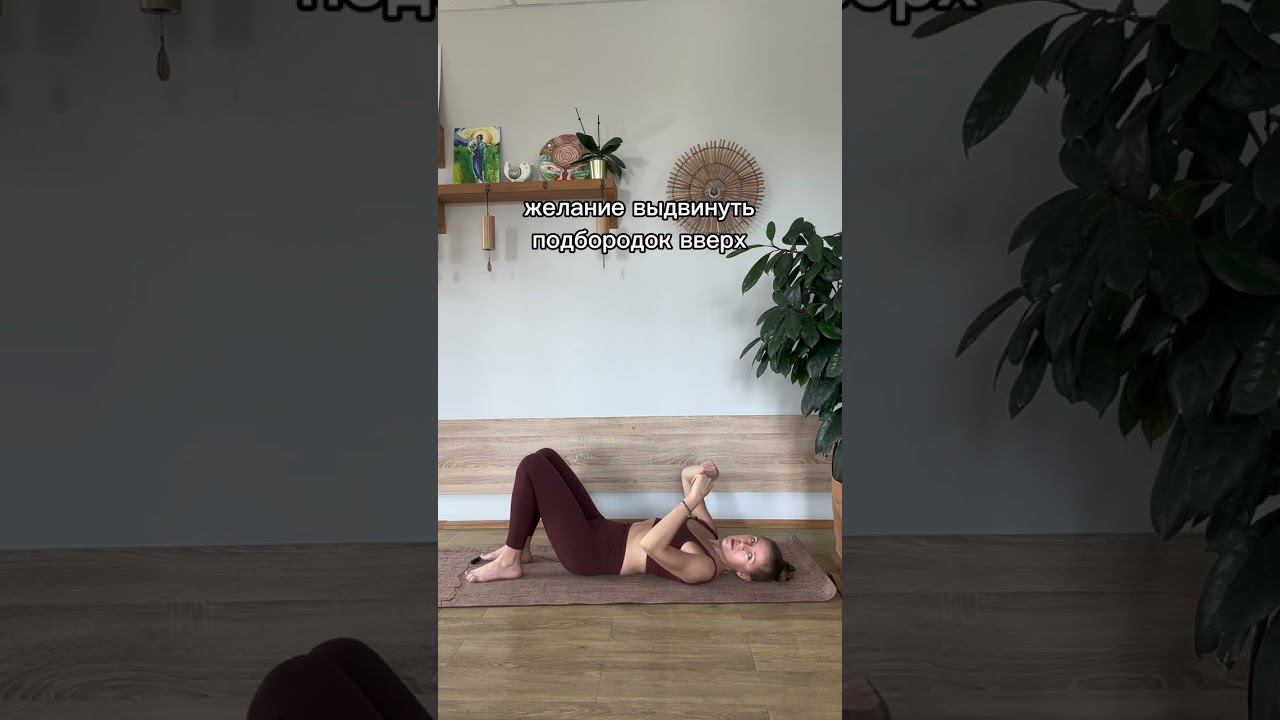 Тест на выносливость сгибателей шейного отдела смотреть онлайн