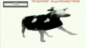 КОРОВА ТАНЦУЕТ ПОД ПОЛЬСКУЮ ПЕСНЯ 10 ЧАСОВ