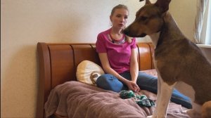 Корабль Террор: пропавшая экспедиция Франклина. Часть 1 #буктюб