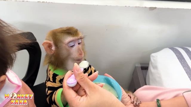 Monkey Kaka And Her Mom Were Worried When Diem Was Lazy To Eat