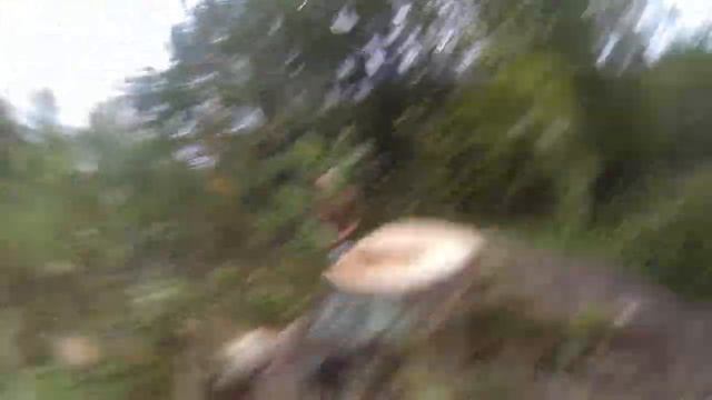 Пласт земли с корнем возвращается на землю. 17/09/2013 г. Слудицы. смотреть онлайн