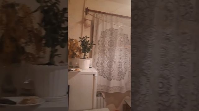 Квартира на Коммунистическом. Ростов-на-дону смотреть онлайн