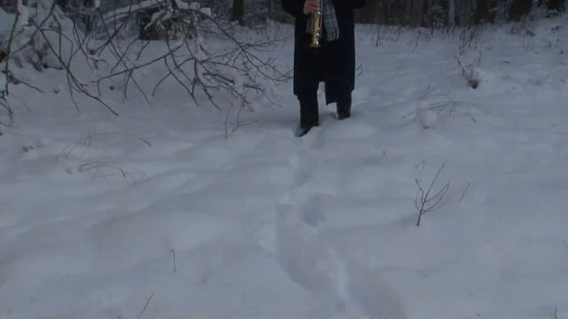 Frank Sinatra - Strangers In The Night (Soprano Saxophone Cover) смотреть онлайн