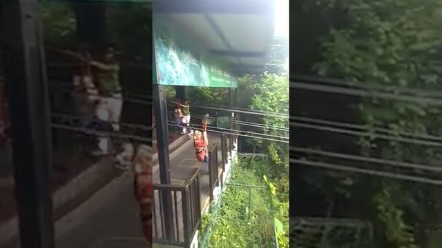 Полёт над джунглями. Самая длинная подвесная дорога! Я это сделала!!