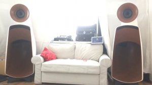 Рупорная акустика OPERLY