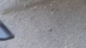 Заглушка буксировочной петли.