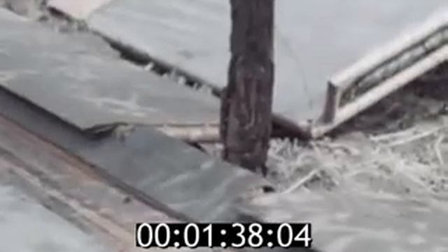 Машина для уборки вишни ВУМ-15 (1977) смотреть онлайн