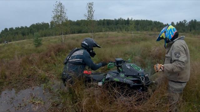 Ковровое болото