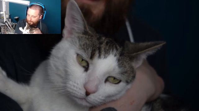 Painting stream! Cracking on with Cursed City, come say hello смотреть онлайн