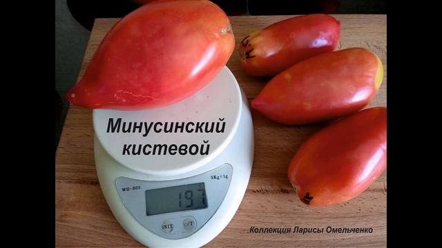 Минусинские и народные сорта. Каталог 2024. смотреть онлайн