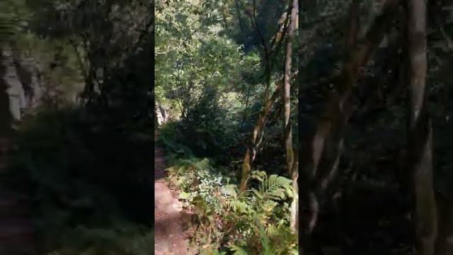 Аркамара, водопад Ирина смотреть онлайн