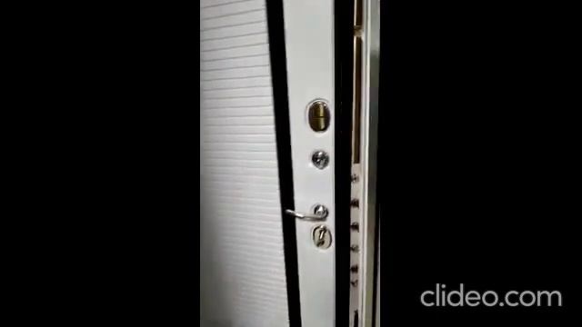 Входные двери STR