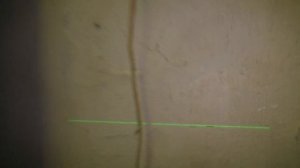 Ремонт и настройка лазерного уровня своими руками!!!