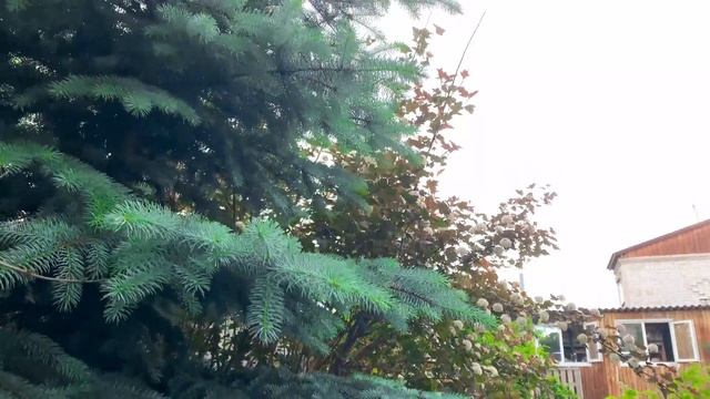 ЛАГМАН В КАЗАНЕ НА КОСТРЕ! КУБАТУРА смотреть онлайн