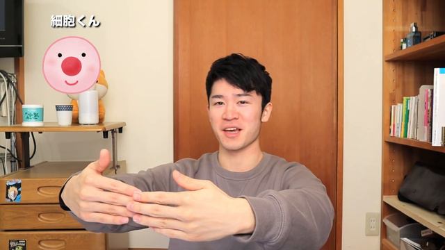 Why are Asians so skinny? Med student explains in easy Japanese｜なぜアジア人は痩せやすいのか | ガリガリ смотреть онлайн
