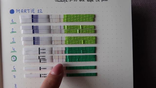 Cum să rămâi însărcinată REPEDE - Calculul ovulației și perioadei fertile смотреть онлайн