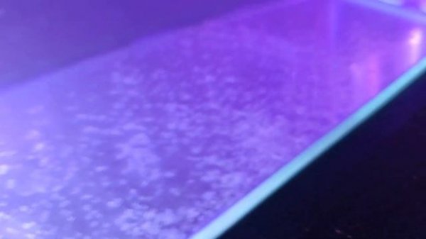 От икринки до малька Разведение данио глофиш Нерест данио