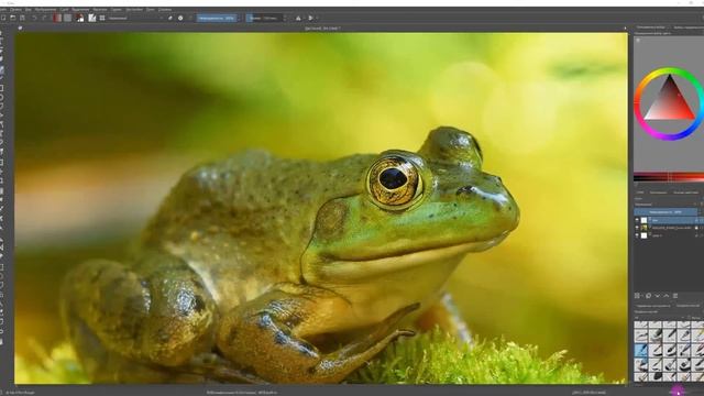 16 10 Спасите лягушек смотреть онлайн