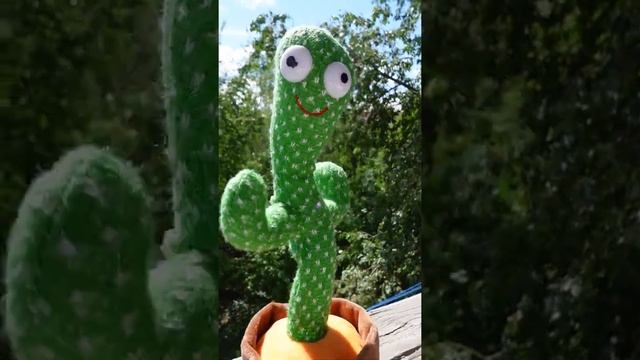 Танцующий говорящий кактус. Игрушка повторюшка. Dancing cactus #Shorts смотреть онлайн
