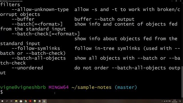 Git version control Database | Get into cat file смотреть онлайн