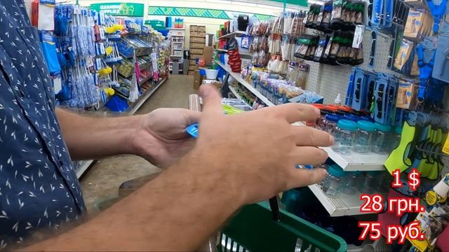 ЧТО МОЖНО КУПИТЬ В США ЗА 1 ДОЛЛАР ? Dollar Tree - американский магазин где ВСЕ по 1 доллару! ? смотреть онлайн