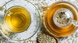 ФЕНХЕЛЬ ПОЛЬЗА И ВРЕД РАСТЕНИЯ НА ОРГАНИЗМ ЧЕЛОВЕКА