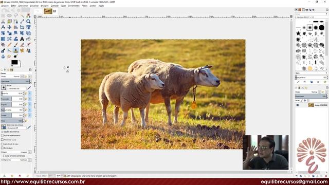 Tutorial Gimp 2.10 #09 - Tinta, MyPaint, Clonagem, Restauração, Perspectiva (2.10.6) смотреть онлайн