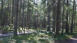 Веломаршрут. Конаково-Тверь. Очень живописно.