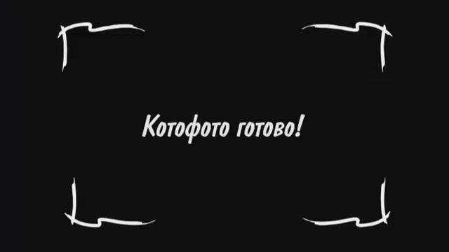 Mars Kitekat Kotophoto смотреть онлайн