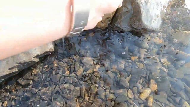 КУПАЕМСЯ БОЛЬШОЙ УТРИШ. ПОДВОДНАЯ ОХОТА НА КРАБОВ смотреть онлайн