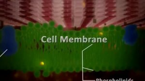 Антисептик Бетадин (Повидон-йод)