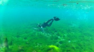 Щучка перед запретом.