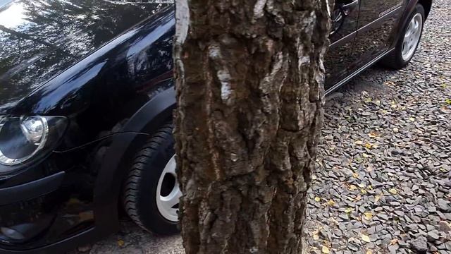 16.09.2021 АВТОРИНОК ЛУЦЬК. ВІД 6000$ РІСТ ЦІН/ АВТОРЫНОК ЛУЦК. ОТ 6000$ И ВЫШЕ. РОСТ ЦЕН. смотреть онлайн