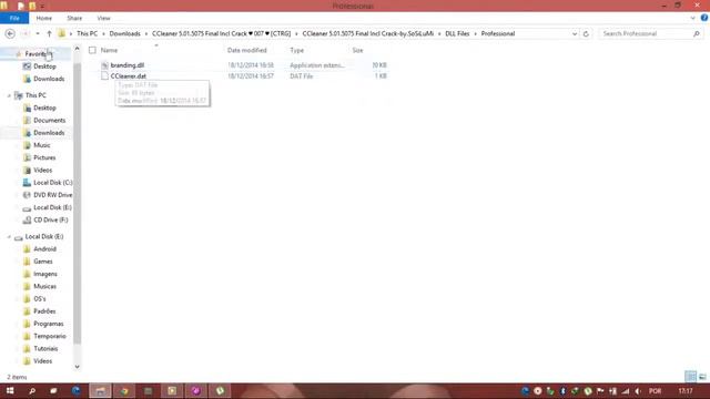 CCleaner 5.01.5075 Incl. Business, Technician & Professional Patch Edition [ATOM]
