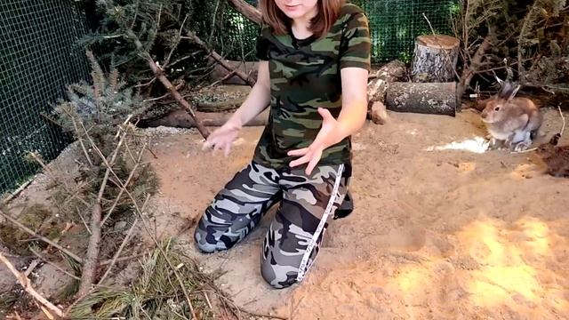 Зайчата не любящие людей и нудный Мазай. Попытка "просто о сложном" смотреть онлайн