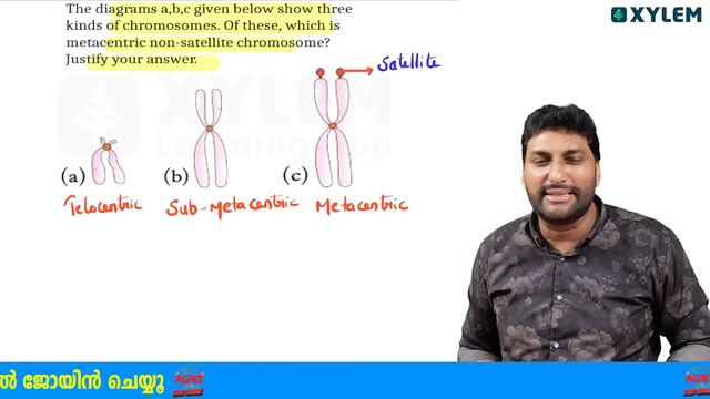 Plus One Botany - Model Exam - Super 30 | Xylem Plus One смотреть онлайн