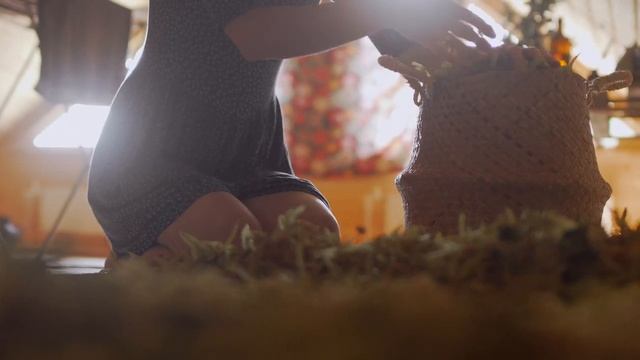 АРОМАТ ЛИПЫ. СБОР ЛИПЫ. ЗАГОТОВКА ЧАЯ. ЧАЙ ИЗ ЛИПЫ. МАЦЕРАТ (ИНФУЗ) НА ЛИПЕ.