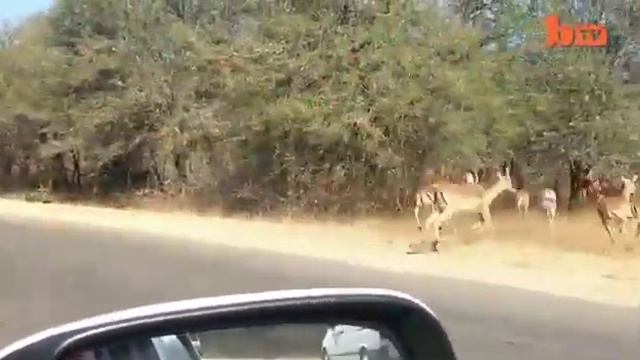 Офисные сотрудники! смотреть онлайн