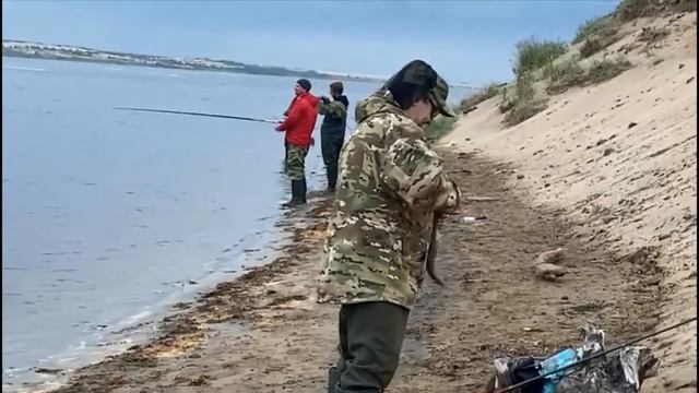 Ловля горбуши на Варзуге. Ловят все! смотреть онлайн