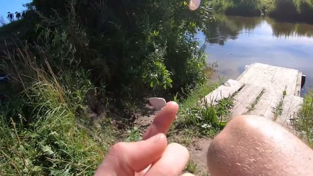 Бабочка села на палец смотреть онлайн