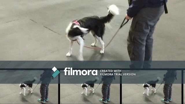 The Distraction Game смотреть онлайн