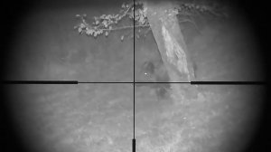 Sytong HT660 Wildschwein