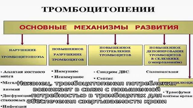 Тромбоцитопения смотреть онлайн