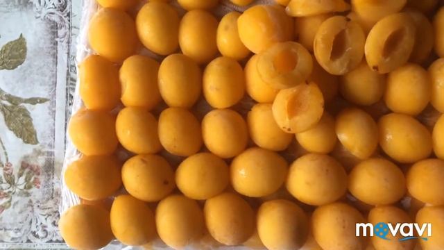 ‼️ОТЛИЧНЫЙ СПОСОБ ЗАМОРОЗКИ ЧЕРНИКИ И АЛЫЧИ?‼️ смотреть онлайн