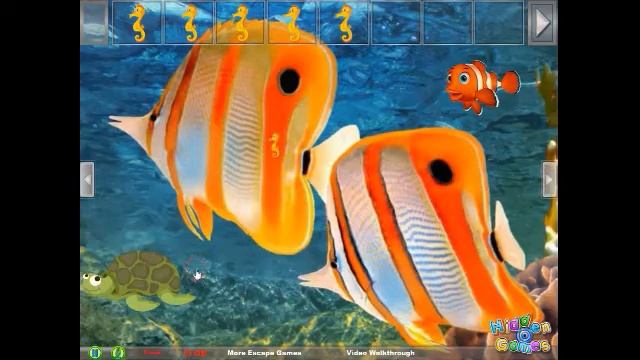 Easy Escape - Seahorse walkthrough HiddenOGames. смотреть онлайн